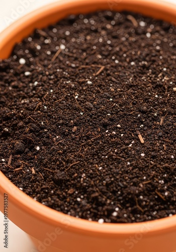 Fresh, rich potting soil fills a clean gardening container, poised for planting, representing growth potential and a new start, spring, new, sprout