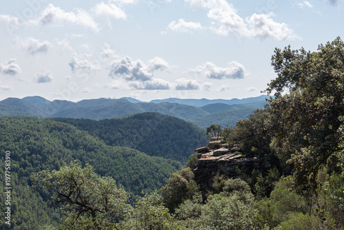 Aerial view of a lush Mediterranean forest