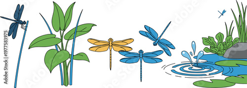 Dragonfly set with pond plants water splash and flying insects vector illustration collection