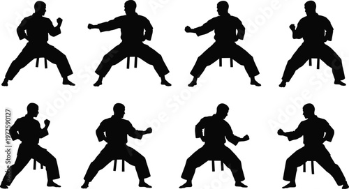 Multiple black silhouettes of karate fighters performing martial arts stances and punches.