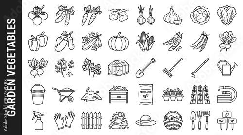 Vegetable garden beds with tomatoes, cucumbers, carrots, potatoes, onions, garlic, cabbage, lettuce, peppers, eggplants, zucchini,