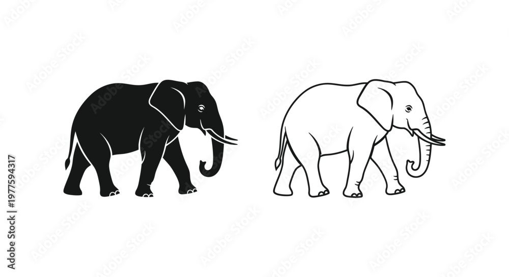 Fototapeta premium African Elephants: Black vs White Distinctive Features Guide Vector