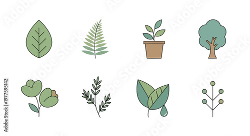 Collection of various green leafy plants.