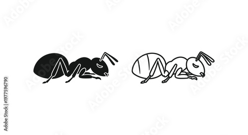 Ants vs Ants: Funny Cartoon Comparison of Insects Vector