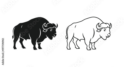 Bison vs Buffalo: Iconic Wildlife Comparison Vector