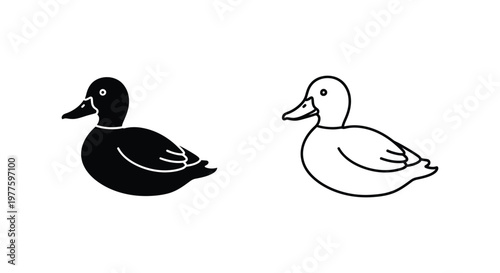 Duck Gender Identification Guide: Male vs Female Ducks Vector