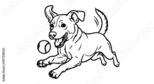 Dog playing with a ball, energetic and happy, outline vector, black and white