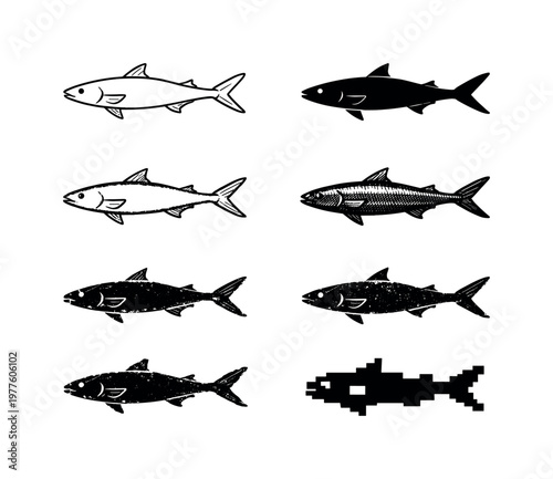 Diverse Fish Illustrations. Ocean fish with elongated body and defined fin shapes, used as a protein source in many cuisines |