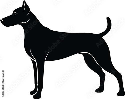 Black and white of a horse rearing up on hind legs with flowing mane and tail