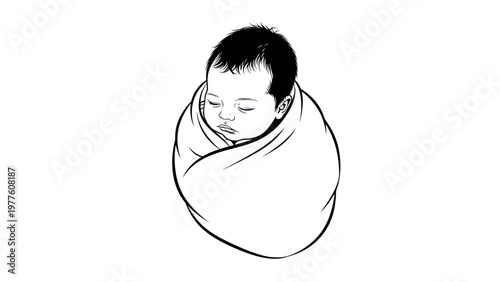 Newborn Baby Sleeping Wrapped Snug.