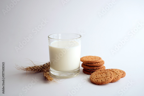 Glass of milk with oatmeal cookies and wheat ears on white background.