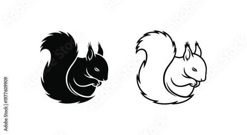 BlackAndWhiteSquirrelArtDesignVectorIllustration Vector