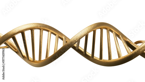 Фотография Golden DNA helix structure symbolizing genetics and life, isolated on transparen
