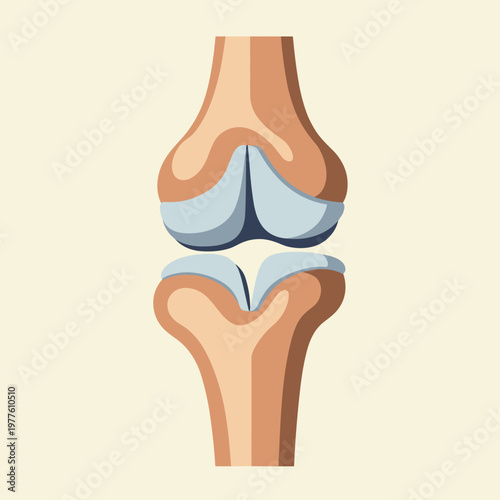 An anatomical illustration of a human knee joint featuring stylized bones and blue cartilage segments against a light background. This medical scene depicts joint health and structure, with copy space