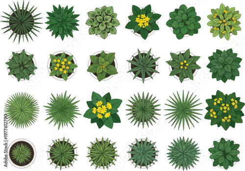 Top view flowering plants and shrubs set, landscape architecture botanical symbols, garden plan vector illustration