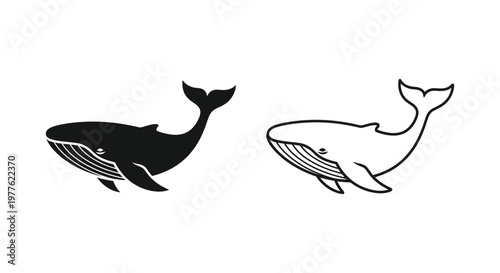 Whale Silhouette Designs: Stylish Black & White Whale Art Vector