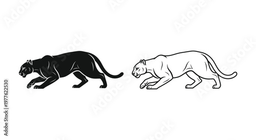 Black vs White Panther Illustrations Vector