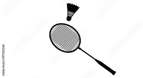 Badminton racket and shuttlecock in a striking black silhouette