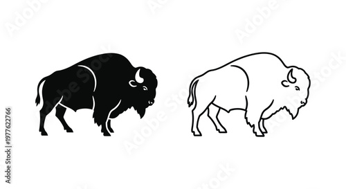 Bison vs Buffalo: Iconic American Wildlife Comparison Guide Vector