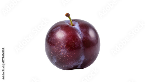 Canvas Print A single ripe dark purple plum with a short green stem, perfectly isolated on tr