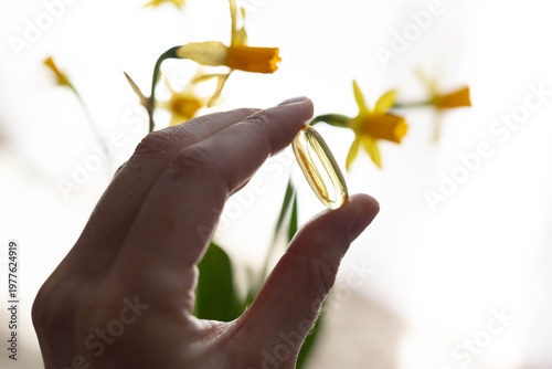 Closeup of a vitamin D capsule with narcissus flowers in the background. Concept of supplementing vitamin D in spring. 