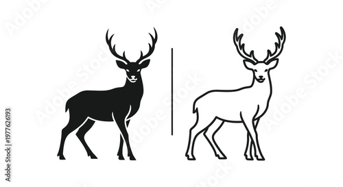 Deer Species Comparison: Stag vs Hind Guide Vector