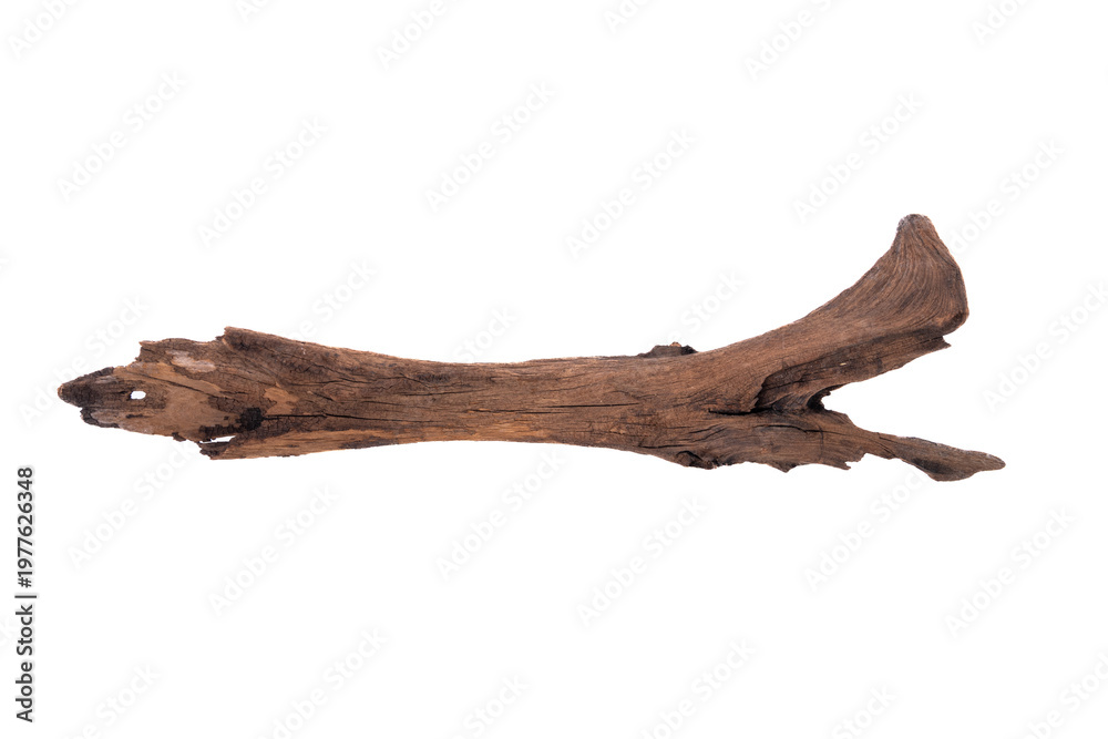 Fototapeta premium Driftwood aged wood isolated on white background. Piece of driftwood driftwood close up for aquarium.