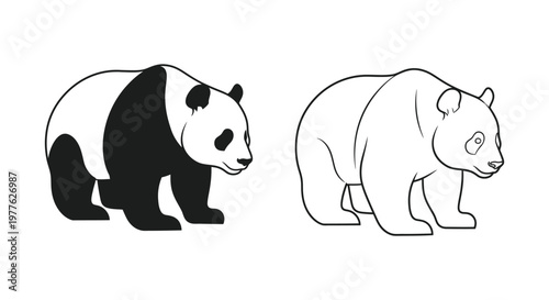 Panda vs Polar Bear: Iconic Bear Species Comparison Vector