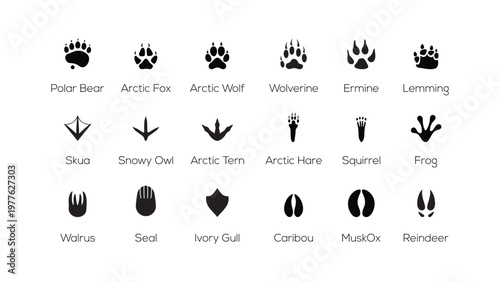Arctic Animal Footprints Paw Tracks Silhouette Vector Icon Set Polar Wildlife Track Collection