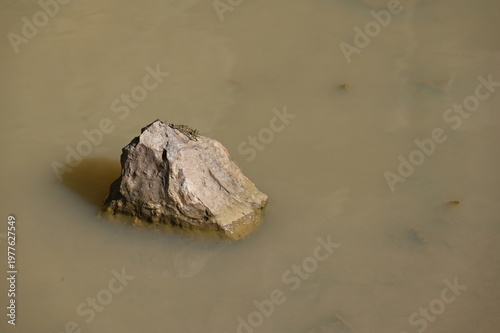 Sandsteinbrocken in einer Wasserpfütze