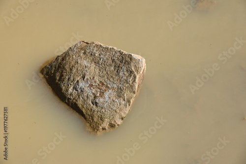 Sandsteinbrocken in einer Wasserpfütze