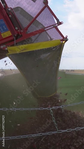 Onion Harvester Filling Empty Green Trailer with Red Onions. The harvester's unloading arm, equipped with a safety mesh, drops onions into a trailer. Search ONIONPROD2025 for more clips.