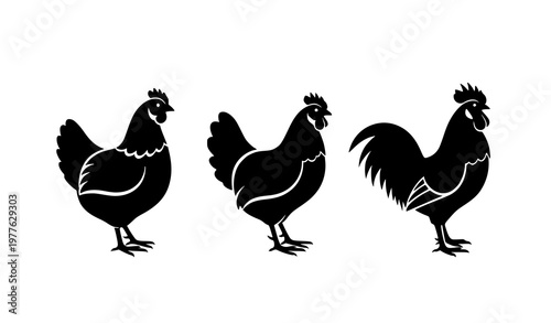 Chicken, hen, and rooster black vector silhouettes isolated on white background