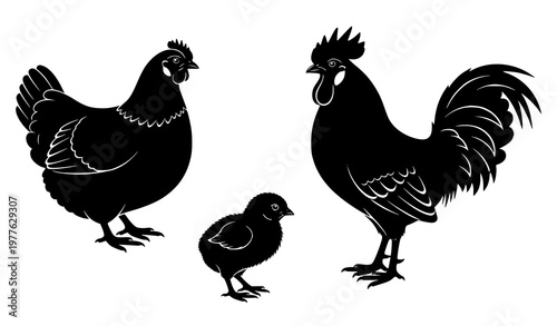 Rooster, hen, and chicken silhouette vector illustration isolated on white background