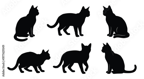 Black cat silhouette collection, set of 6 domestic feline vector icons, sitting and walking cat shapes, minimalist pet animal silhouettes for logos