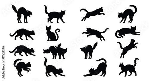 Black cat silhouette collection, 16 feline vector icons in various poses, jumping and stretching kitten silhouettes, spooky halloween cat set