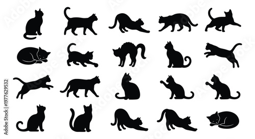 Black cat silhouettes collection, set of 20 feline vector icons in various poses, domestic cat shapes for logo design and pet branding
