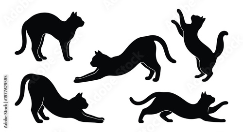 Black cat silhouette collection, set of 5 feline vector elements in various poses, domestic cat stretching and jumping icons for pet branding