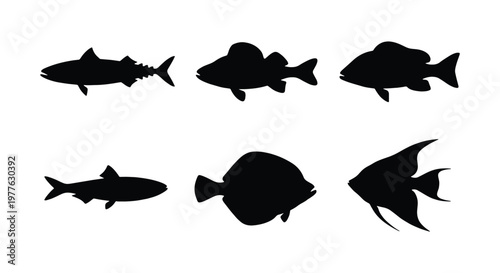 Black fish silhouettes collection, set of 6 aquatic sea animal icons, minimalist marine life vector shapes for fishing logos and seafood branding
