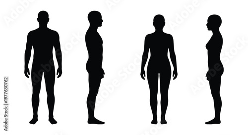 Human body silhouette set with male and female figures, front and side view anatomical outlines, black person shapes for medical or fashion design