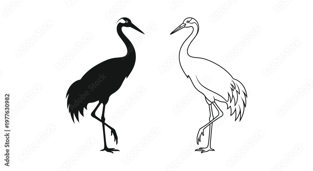 Fototapeta premium Black and White Crane Birds Illustration Vector