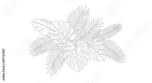 Tropical Monstera Leaves and Pine Needles Line Art Illustration