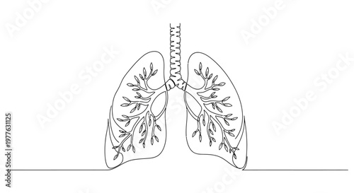 Minimalist Line Art of Human Lungs, Respiratory System Anatomy