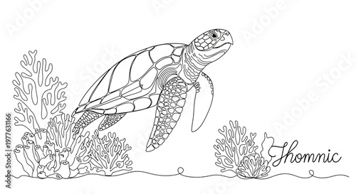 Line Art Sea Turtle Swimming Underwater with Coral Reef, Ocean Wildlife Illustration