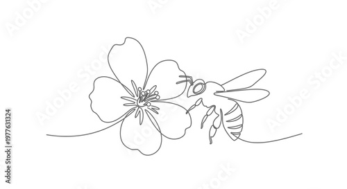 Continuous line drawing of a bee and a flower, simple, minimalist art