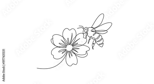 Continuous line drawing of a bee on a flower, minimalist, elegant, vector art
