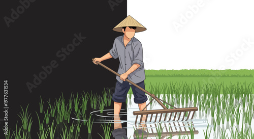 Asian farmer working in rice field.