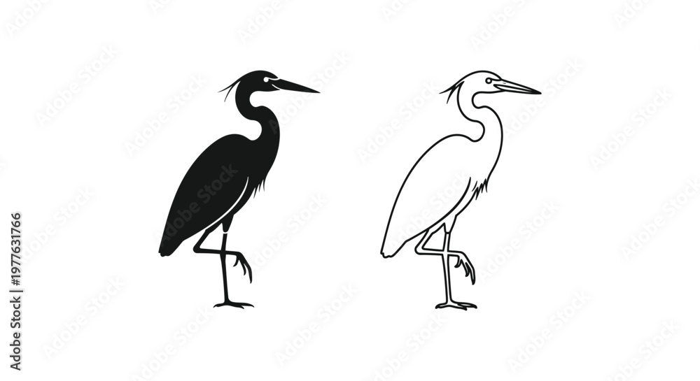 Fototapeta premium Black & White Bird Silhouettes: Herons Comparison Guide Vector