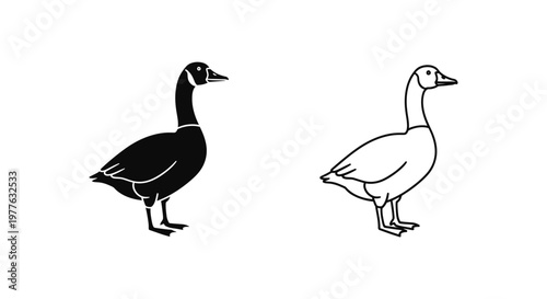 Black and White Geese Illustration Vector Art Vector