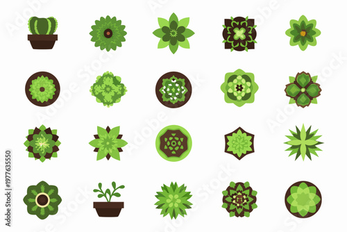 Collection of various stylized top down views of green succulent plants